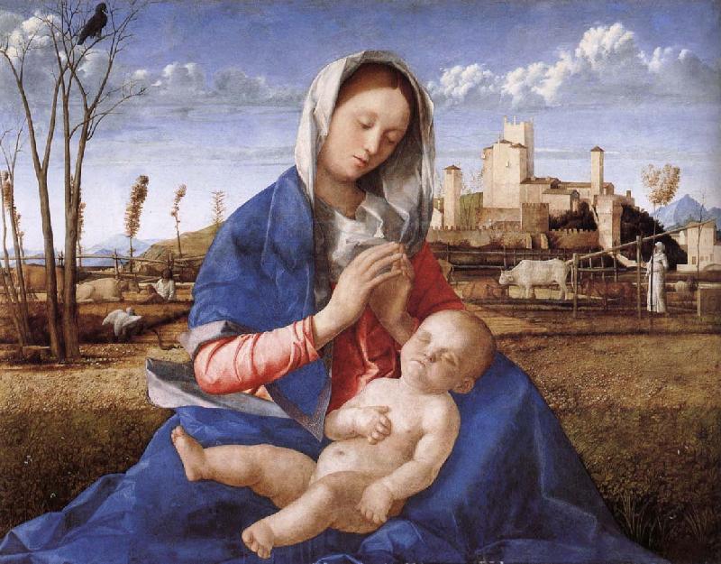 Giovanni Bellini Madonna pa indicated